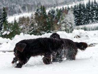 Similar image 10890786