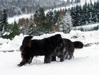 Similar image 10890787