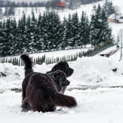 Similar image 10890788