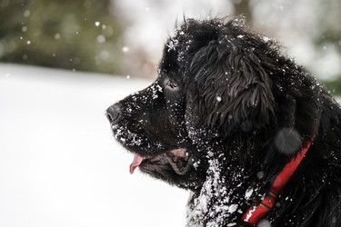 Similar image 10890795