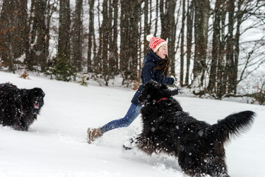 Similar image 10890796