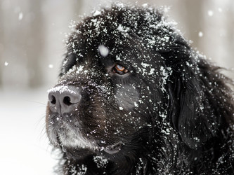 Similar image 10890764