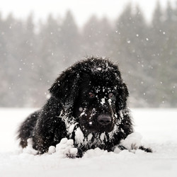 Similar image 10890767