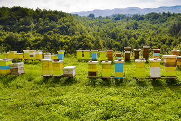 Similar image 10911366