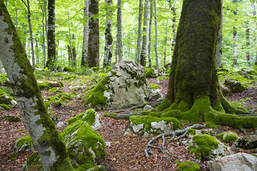 Similar image 10892943