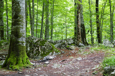 Similar image 10892944