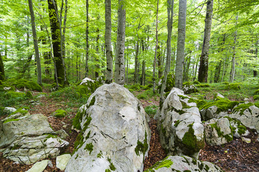 Similar image 10892945