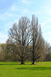 Similar image 10892982