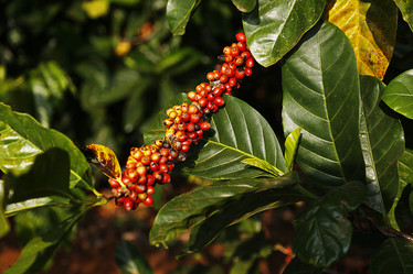 Similar image 10892983