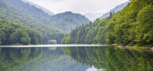 Similar image 10906449