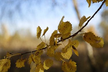 Similar image 10910413