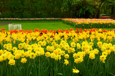 Similar image 10891548