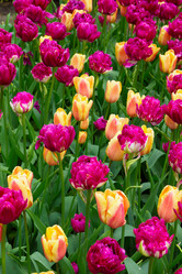 Similar image 10891527