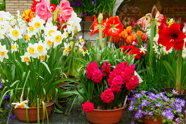 Similar image 10891465