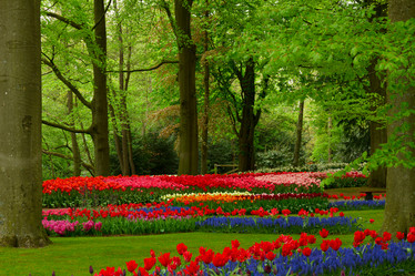 Similar image 10891466