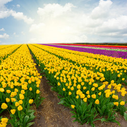 Similar image 10891468