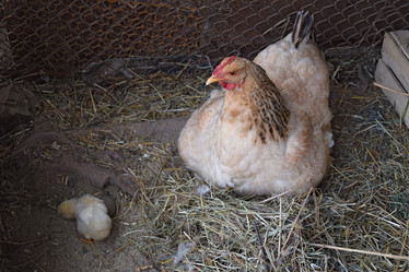 Similar image 10891902