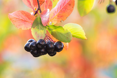 Similar image 10893394