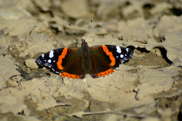 Similar image 10890097