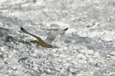 Similar image 10890098