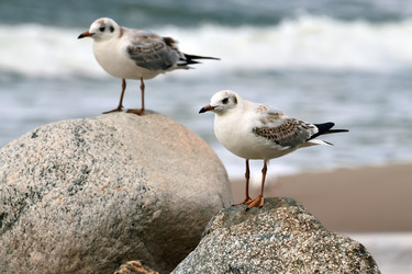 Similar image 10890284