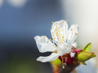 Similar image 10890288