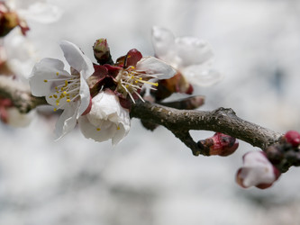 Similar image 10895635