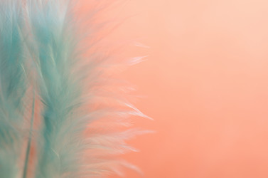 Similar image 10895636