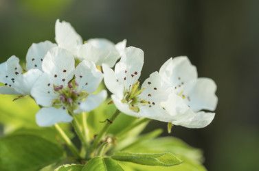 Similar image 10890289