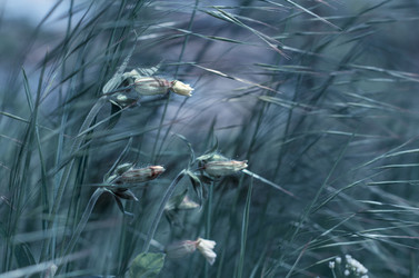 Similar image 10895637