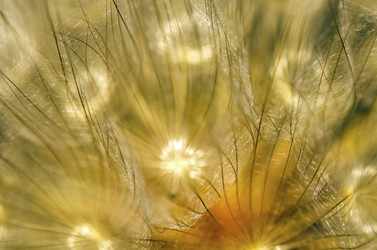 Similar image 10890045