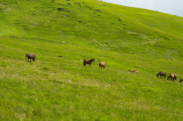 Similar image 10898300