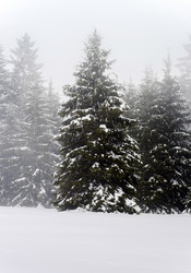 Similar image 10890808