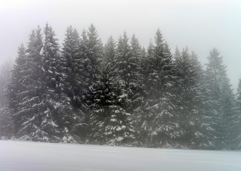 Similar image 10890810