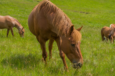 Similar image 10898302