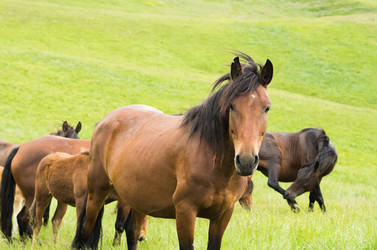 Similar image 10897820