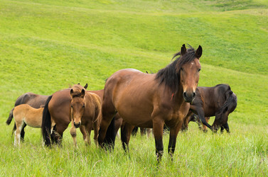 Similar image 10897821