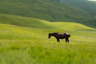 Similar image 10897095