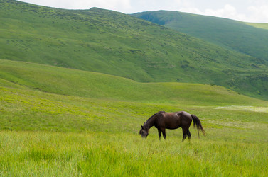 Similar image 10896530