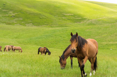 Similar image 10897096