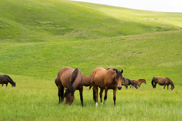 Similar image 10896487