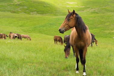 Similar image 10897097