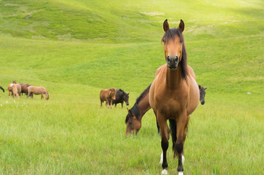 Similar image 10897098