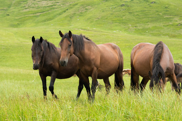 Similar image 10896549