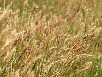 Similar image 10890099