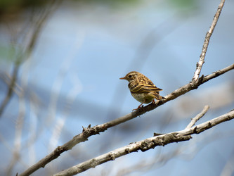 Similar image 10890207