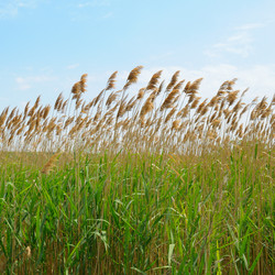 Similar image 10890755