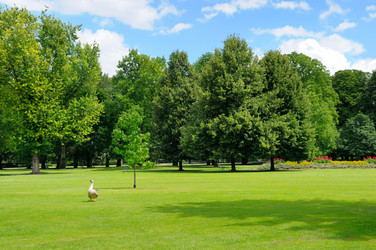 Similar image 10890759