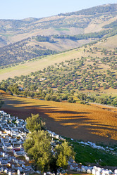 Similar image 10891177