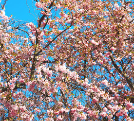 Similar image 10891205